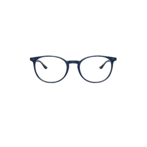 Navy Blue Glasses